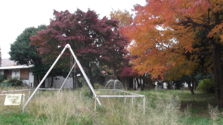 f0174939_18255760.jpg