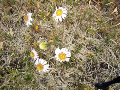 e0110940_9522032.jpg