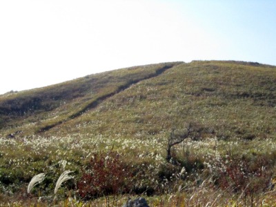 e0110940_9533271.jpg