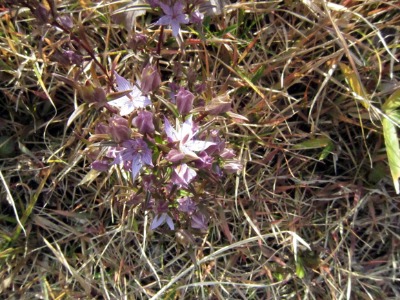 e0110940_953533.jpg