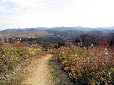 e0110940_9542326.jpg