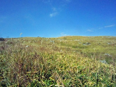 e0110940_9543890.jpg