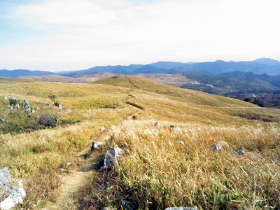 e0110940_954519.jpg