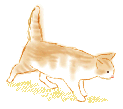 f0191444_13133475.gif
