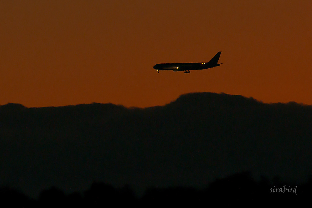 夕方に飛行機を見てきました_d0238245_1134927.jpg