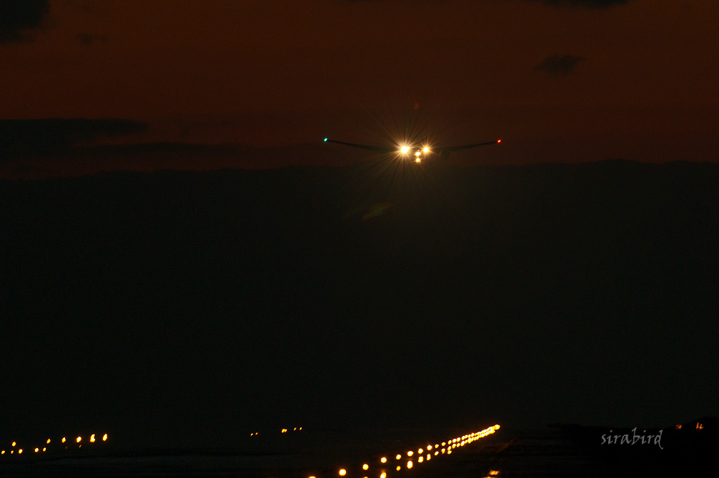 夕方に飛行機を見てきました_d0238245_1204581.jpg