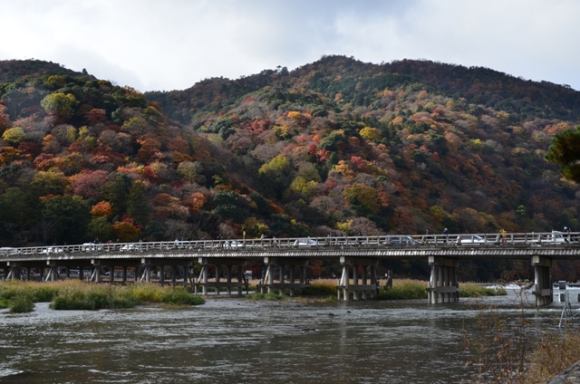 d0002247_1541417.jpg