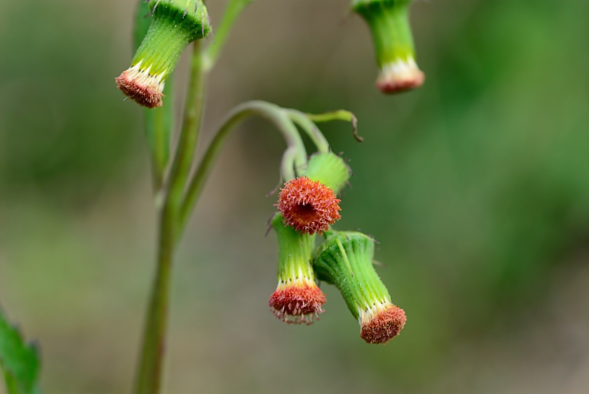 f0224648_9343749.jpg