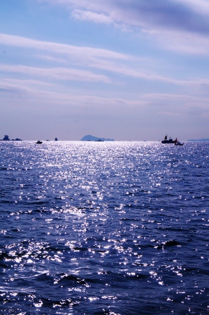 e0180555_11102.jpg