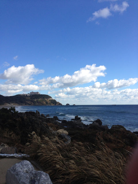渥美半島 伊良湖岬~☆_f0109257_12172596.jpg