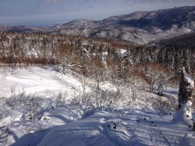 北海道三日目☆札幌国際スキー場_c0151965_16281863.jpg