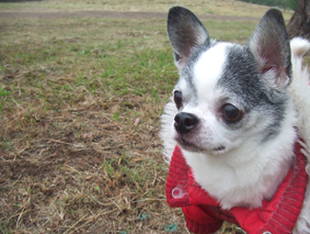 c0143171_17295450.jpg