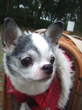 c0143171_1730029.jpg