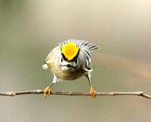 d0262476_24663.jpg