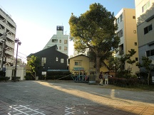 d0183387_11332325.jpg