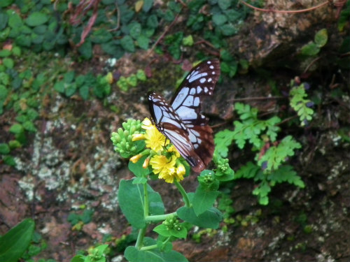 e0028387_2242673.jpg