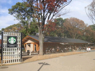 上野恩賜公園のスタバ_e0039787_10561968.jpg