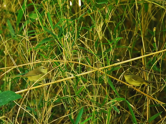 a0223993_2354048.jpg