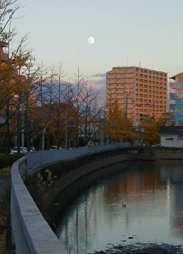 ●ムーンゴッタ・2012年11月_d0053294_133734.jpg