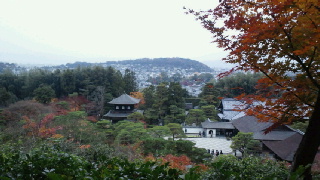 f0165495_1465023.jpg