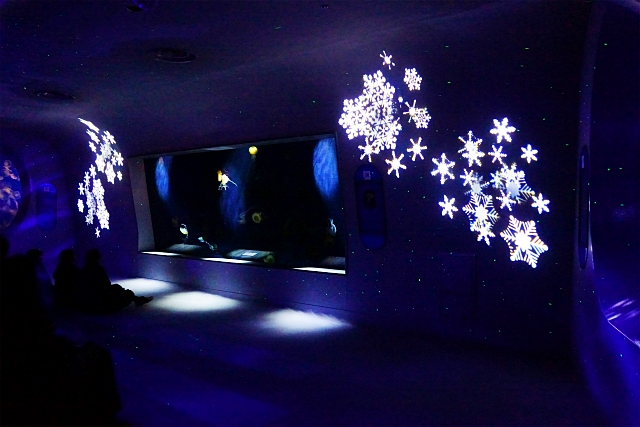 新江ノ島水族館 海のクリスマス ミズクラゲのクリスマスツリー エーデルワイスブログ 新江ノ島水族館 海のクリスマス ミズクラゲのクリスマスツリー エーデルワイスブログ