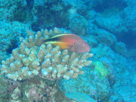 a0201201_11491010.jpg