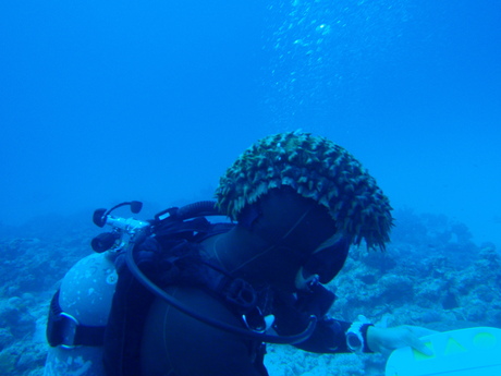 a0201201_11494590.jpg