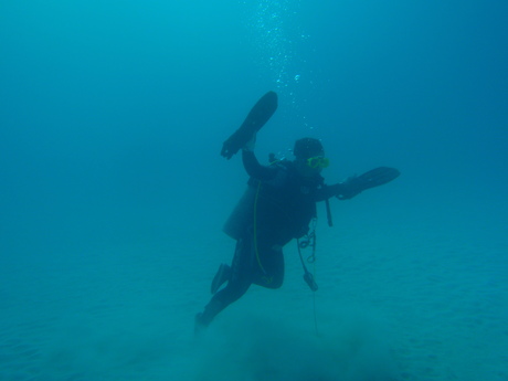 a0201201_12185980.jpg