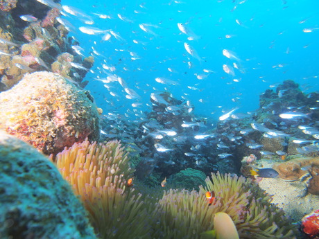 a0201201_126117.jpg
