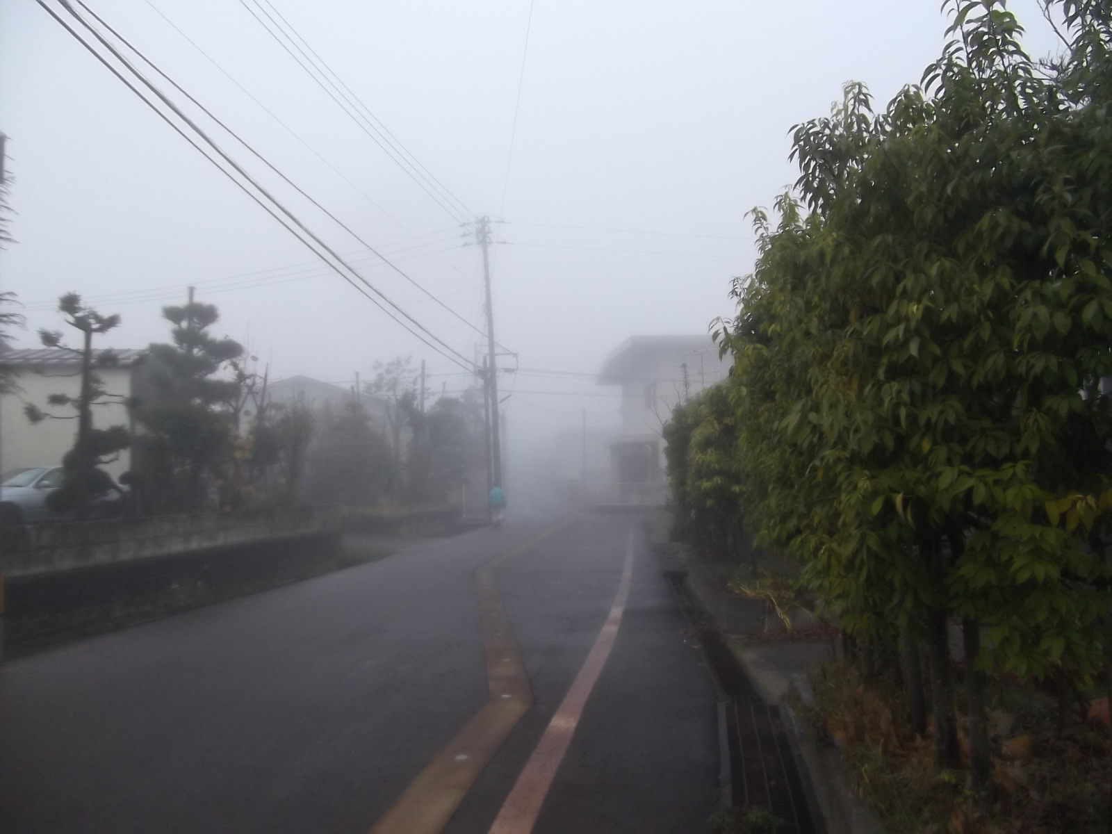 a0203003_2120569.jpg