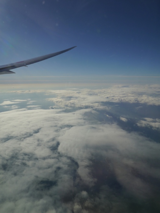 c0187503_2375876.jpg