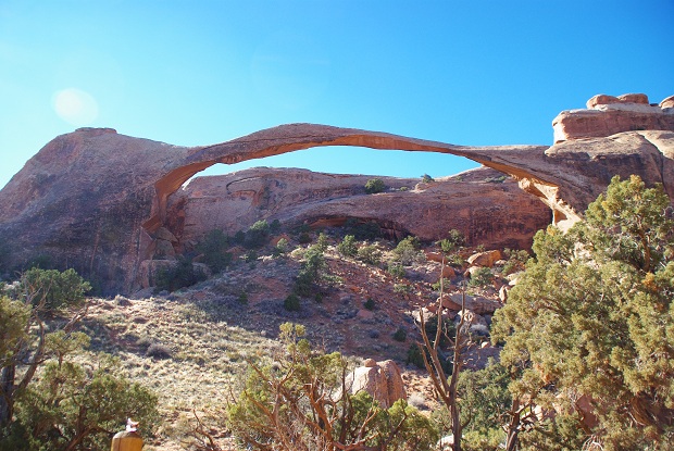 f0038904_1213098.jpg
