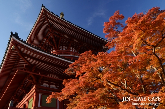 成田山平和大塔の紅葉_e0222506_21223114.jpg