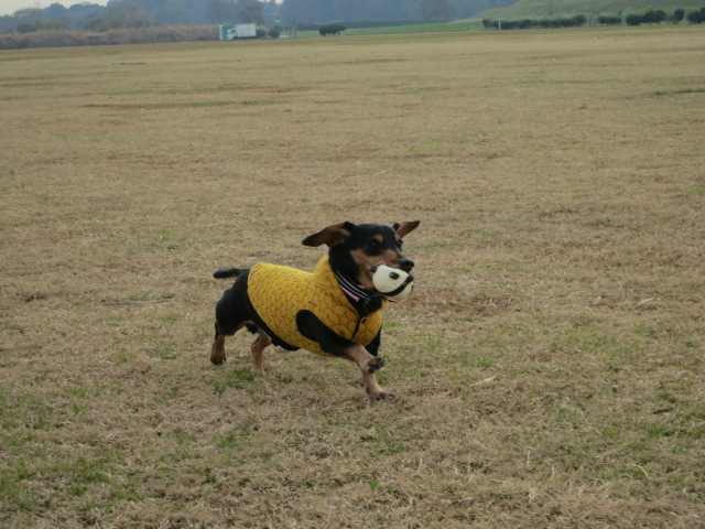 a0227507_21471444.jpg