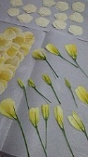 f0054809_15324881.jpg