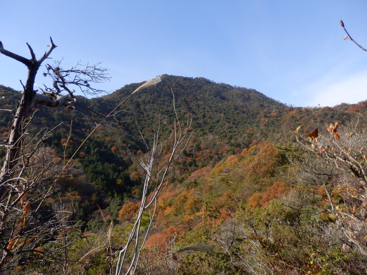 f0219710_7411365.jpg