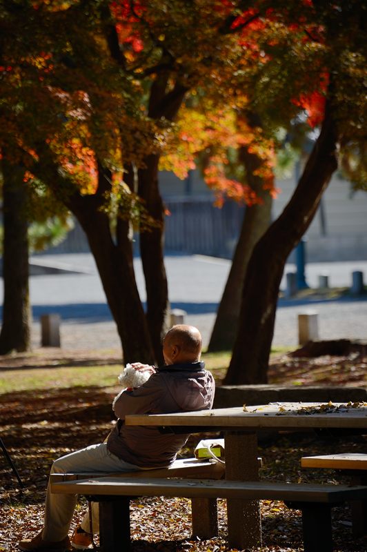  2012京都の紅葉・御所　其の二_f0032011_19335221.jpg