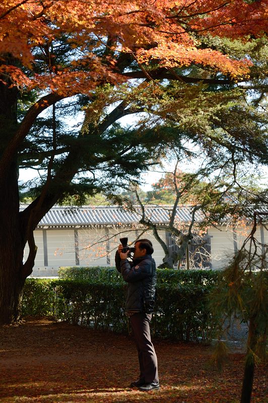  2012京都の紅葉・御所　其の二_f0032011_1936365.jpg