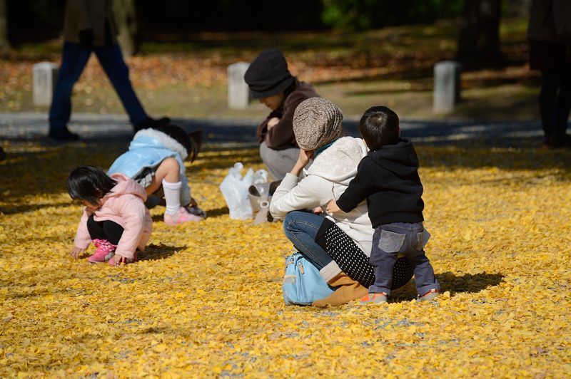  2012京都の紅葉・御所　其の二_f0032011_19372079.jpg