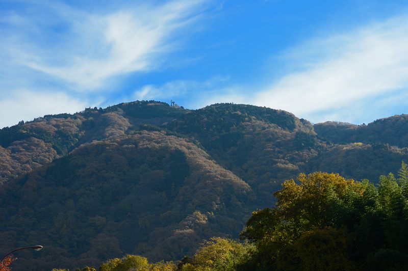 2012京都の紅葉・蓮花寺_f0032011_20211358.jpg