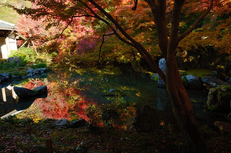 2012京都の紅葉・蓮花寺_f0032011_2029156.jpg