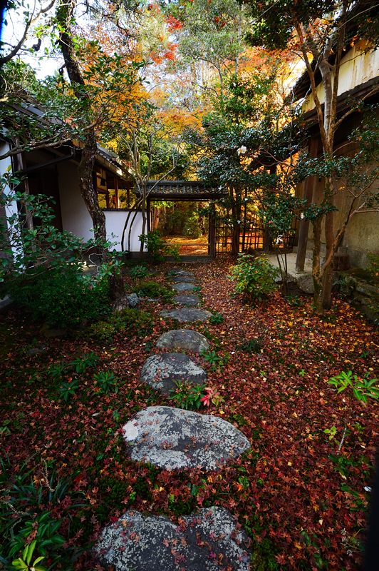 2012京都の紅葉・蓮花寺_f0032011_20292451.jpg