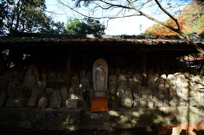 2012京都の紅葉・蓮花寺_f0032011_20343458.jpg