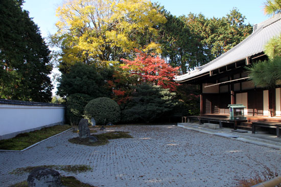 紅葉だより61　相国寺_e0048413_805097.jpg