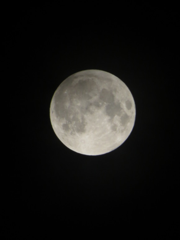 b0087914_15402561.jpg