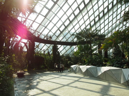 Gardens by the Bay in Singapore　その①_f0185917_23132074.jpg