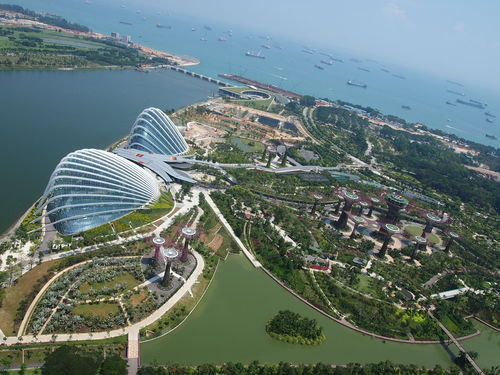 Gardens by the Bay in Singapore　その①_f0185917_2391075.jpg