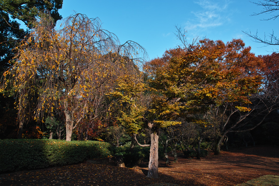 c0223825_1433116.jpg