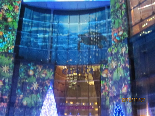 d0162225_2135537.jpg