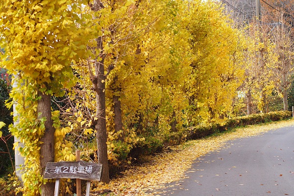 f0214527_10344019.jpg